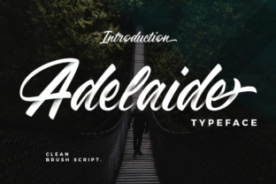 Adelaide Brings Vintage Charm to Modern Web Design Layouts