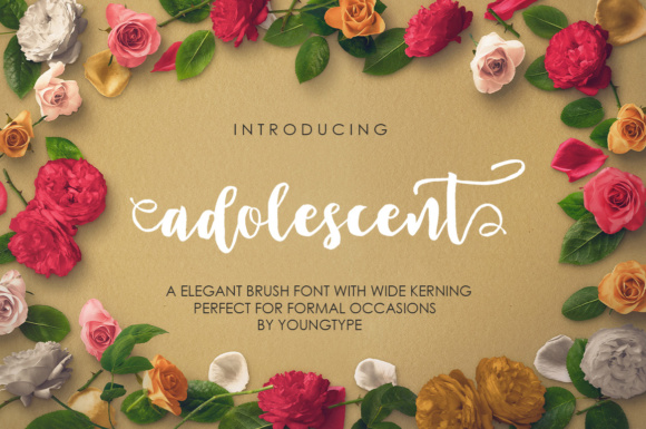 Adolescent Font Review: A Script Typeface That Elevates Campaign Visuals