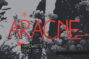 Aracne: A Relaxed Script Font for Small Business Branding That Stands Out