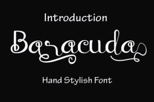 Baraccuda: A Script Font That Brings Playful Elegance to Web Design