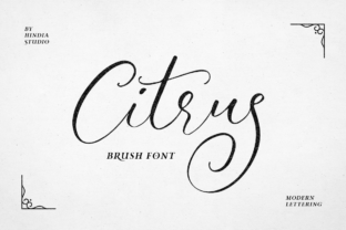 Citrus Font Review: A Handmade Script for Modern Web Design Projects