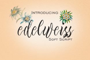Edelweiss: A Font That Elevates Campaign Design
