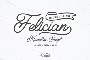Felician: A Modern Monoline Font for Editorial Design and Publication Branding