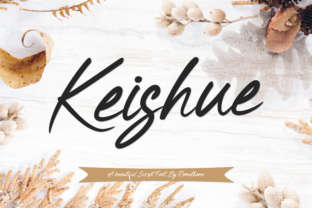 Keishue: A Handwritten Typeface for Polished Web Layouts