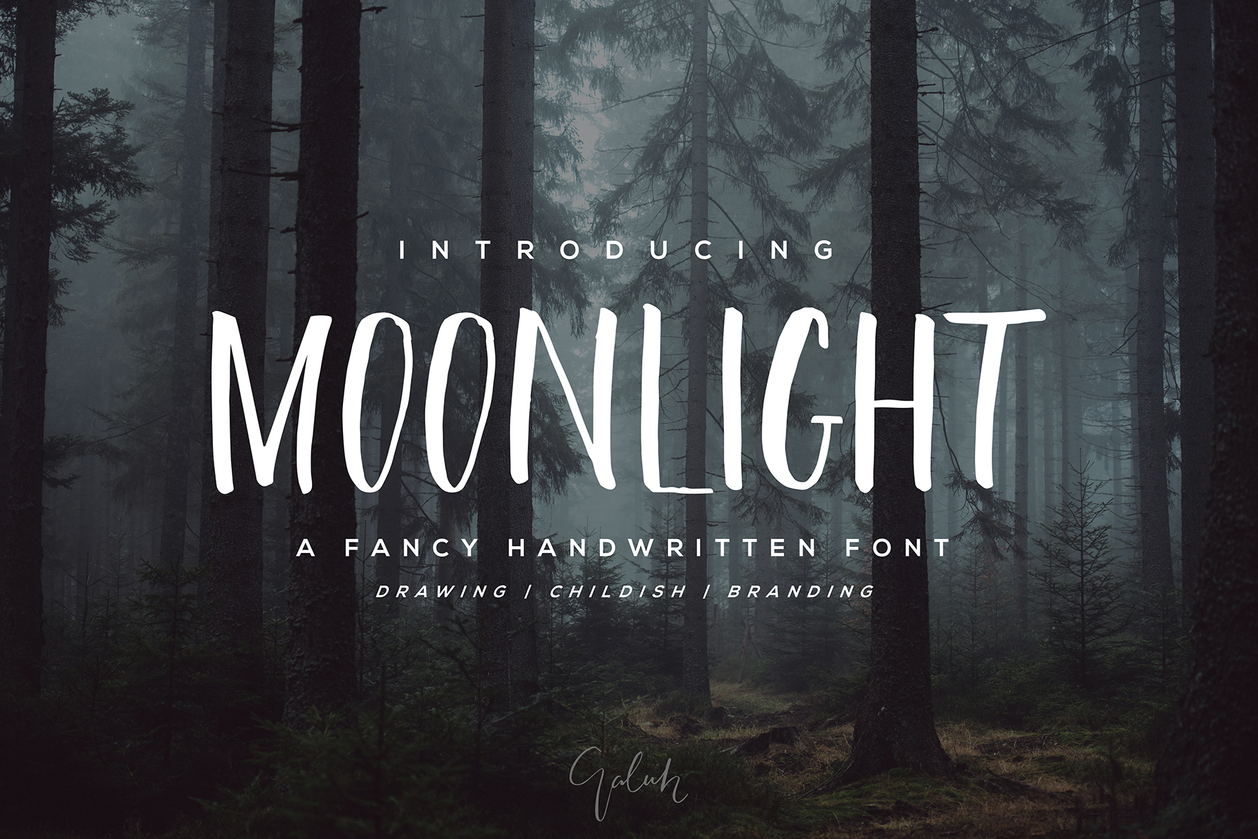 Moonlight Font for Small Business Branding