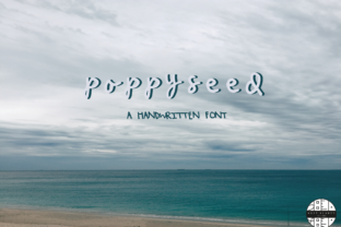 Poppy Seed Brings Playful Warmth to Editorial Design