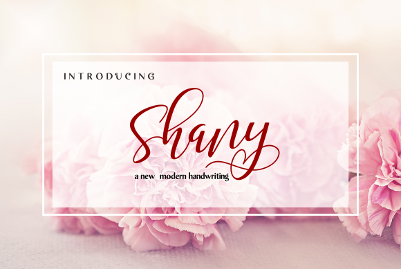 Shany Font: A Handwritten Typeface with Natural Charm for Branding